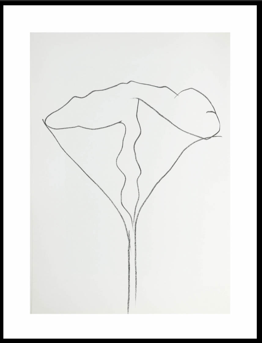 Ellsworth Kelly-Blume