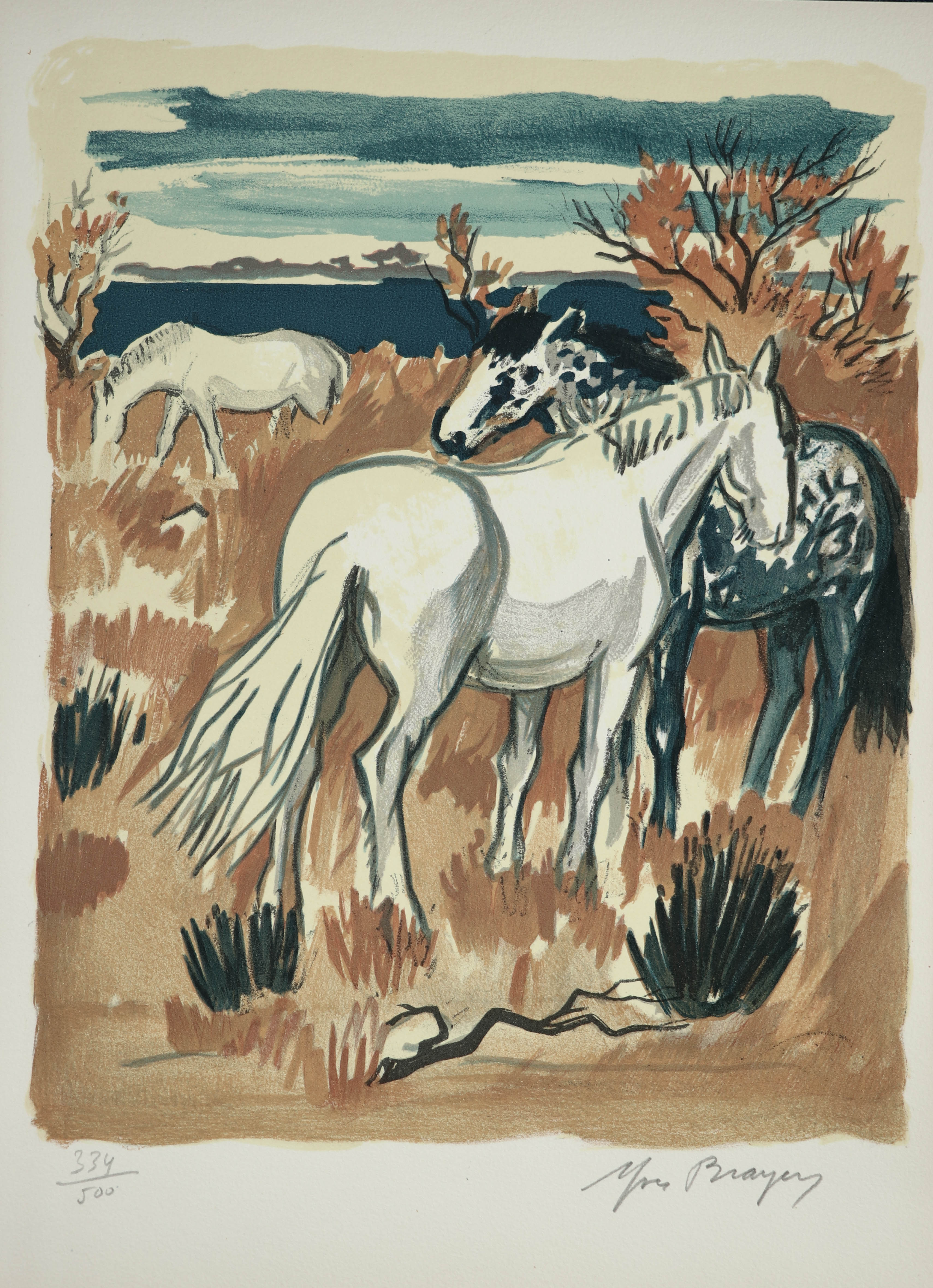 Yves Brayer-Chevaux